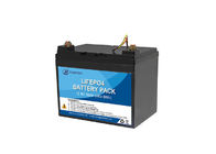 100% DOD LiFePO4 SLA het Geval van de Vervangingsbatterij 12.8V 36Ah BMS Protection With Plastic